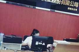 蕲春企业清欠服务